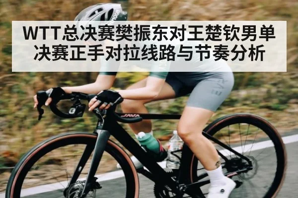 WTT总决赛樊振东对王楚钦男单决赛正手对拉线路与节奏分析